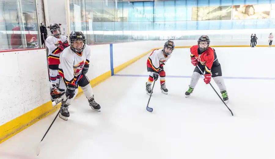 Aviator Sports Secures Continued Ice Programs